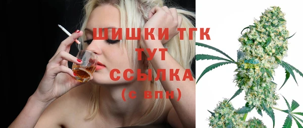 дживик Беломорск
