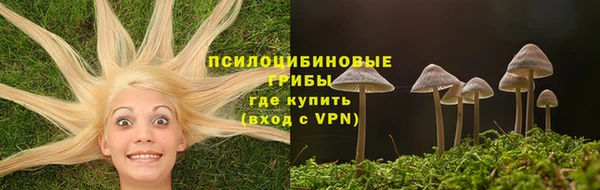 хмурый Сосновоборск