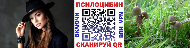 blacksprut ONION  Бородино  Псилоцибиновые грибы GOLDEN TEACHER 